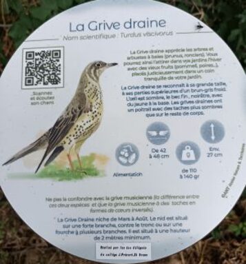 Panneau dses caractéristiques de la grive Draine ainsi que son chant en QR code.